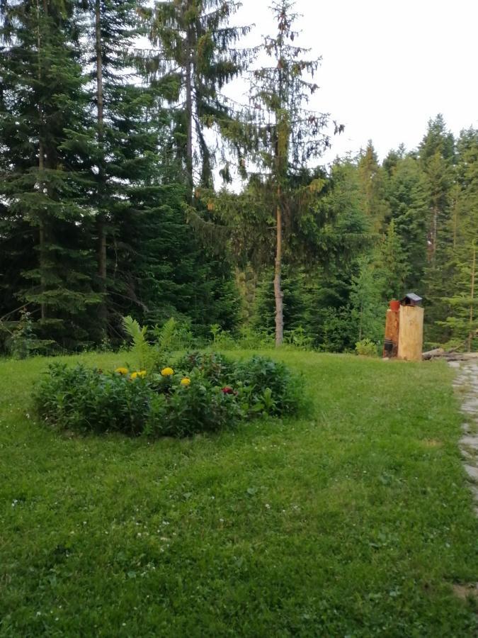P-Zlatar, Apartman 3 Brdo Exterior foto